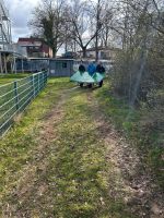 WhatsApp Image 2026-03-26_10_Custom